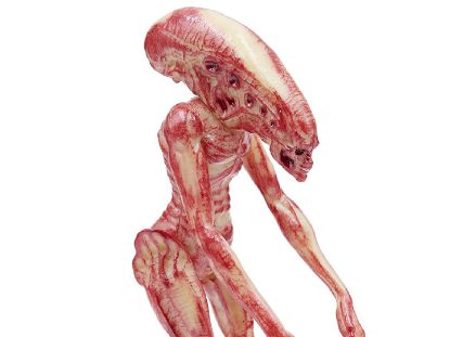 Picture of Alien ReAction Xenomorph Newborn Figure