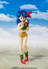 Picture of S.H. Figuarts Lunch -Dragon Ball-