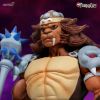 Picture of Ultimates Figure - ThunderCats Wave2: Grune the Destroyer