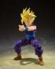 Imagen de S.H. Figuarts Dragon Ball Z: Super Saiyan Gohan -The Warrior Who Surpassed Goku-