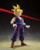 Imagen de S.H. Figuarts Dragon Ball Z: Super Saiyan Gohan -The Warrior Who Surpassed Goku-
