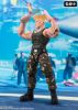 Imagen de S.H. Figuarts Street Fighter: Guile -Outfit 2 Ver.-