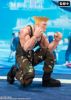 Imagen de S.H. Figuarts Street Fighter: Guile -Outfit 2 Ver.-