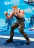 Imagen de S.H. Figuarts Street Fighter: Guile -Outfit 2 Ver.-