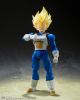 Imagen de S.H. Figuarts Dragon Ball Z: Super Saiyan Vegeta -Awakening Super Saiyan Blood-