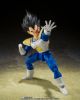 Imagen de  S.H. Figuarts Dragon Ball Z - Vegeta 24000 Power Level -Tamashii Exclusive-