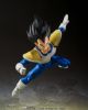 Imagen de  S.H. Figuarts Dragon Ball Z - Vegeta 24000 Power Level -Tamashii Exclusive-