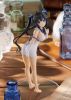 Imagen de **PREVENTA** Is it Wrong to Try to Pick Up Girls in a Dungeon? IV Pop Up Parade Hestia