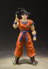 Imagen de **PREVENTA TN** S.H. Figuarts Dragon Ball Z: Goku -A Saiyan Raised on Earth-