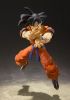 Imagen de **PREVENTA TN** S.H. Figuarts Dragon Ball Z: Goku -A Saiyan Raised on Earth-