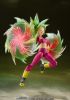 Imagen de S.H.Figuarts SUPER SAIYAN KEFLA Tamashii Exclusive