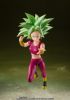 Imagen de S.H.Figuarts SUPER SAIYAN KEFLA Tamashii Exclusive