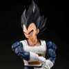 Imagen de S.H. Figuarts Dragon Ball Z - Vegeta (Older Style Battle Clothes) -Tamashii Web Exclusive-