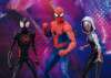 Imagen de  S.H. Figuarts Spider-Man Across the Spider-Verse - Peter B. Parker & Mayday Parker
