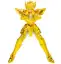 Imagen de Saint Seiya Myth Cloth EX Aquarius Hyoga (Inheritor of the Gold Cloth Ver.) Exclusive