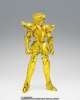 Imagen de Saint Seiya Myth Cloth EX Aquarius Hyoga (Inheritor of the Gold Cloth Ver.) Exclusive