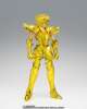 Imagen de Saint Seiya Myth Cloth EX Aquarius Hyoga (Inheritor of the Gold Cloth Ver.) Exclusive