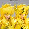 Imagen de Saint Seiya Myth Cloth EX Aquarius Hyoga (Inheritor of the Gold Cloth Ver.) Exclusive
