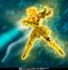 Imagen de Saint Seiya Myth Cloth EX Aquarius Hyoga (Inheritor of the Gold Cloth Ver.) Exclusive