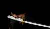 Imagen de **PREVENTA**Proplica One Piece - Roronoa Zoro Three Sword Style Set