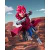 Imagen de S.H. Figuarts Dragon Ball Legends - Giblet -Tamashii Web Exclusive-