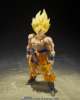 Imagen de **PREVENTA**S.H. Figuarts Dragon Ball Z Super Saiyan Goku -Legendary Super Saiyan- [Best Selection]