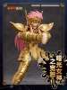 Imagen de Blokees | Saint Seiya Champion Class 08 Aquarius Camus