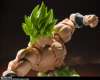 Imagen de S.H. Figuarts Dragon Ball Super: Broly - Super Saiyan Broly (Fullpower)