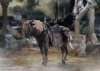Imagen de **PREVENTA** Elden Ring figma No.685 Torrent, the Spectral Steed