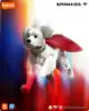 Imagen de **PREVENTA**Blokees| DC Champion Class 01 - Superman 2025