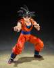 Imagen de S.H. Figuarts Dragon Ball Z: Son Goku (Kind-hearted Saiyan)