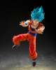 Imagen de **PREVENTA** S.H. Figuarts Dragon Ball Super - Super Saiyan God Super Saiyan Goku (Blue Power Transcending Limits)