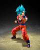 Imagen de **PREVENTA** S.H. Figuarts Dragon Ball Super - Super Saiyan God Super Saiyan Goku (Blue Power Transcending Limits)
