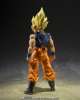Imagen de **PREVENTA**S.H. Figuarts Dragon Ball Z - Super Saiyan Goku (Fighter of Rage) Tamashii Exclusive