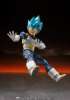 Imagen de S.H. Figuarts Dragon Ball Super: Broly - Super Saiyan God Super Saiyan Vegeta (15th Anniversary Ver.) Tamashii Exclusive